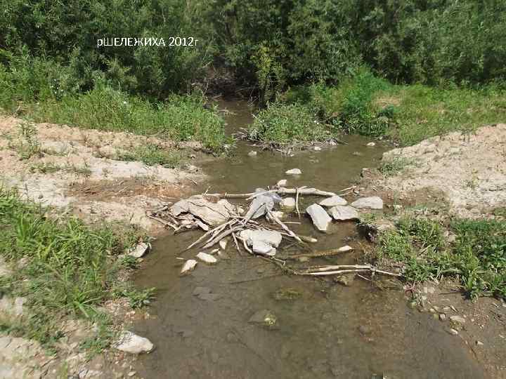 р. ШЕЛЕЖИХА 2012 г 