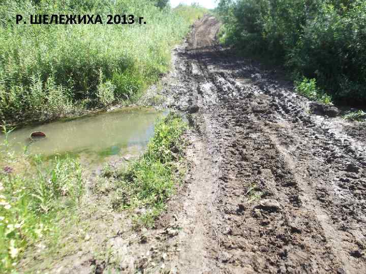 Р. ШЕЛЕЖИХА 2013 г. 