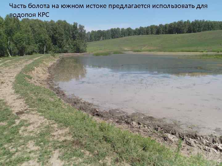 Часть болота на южном истоке предлагается использовать для водопоя КРС 