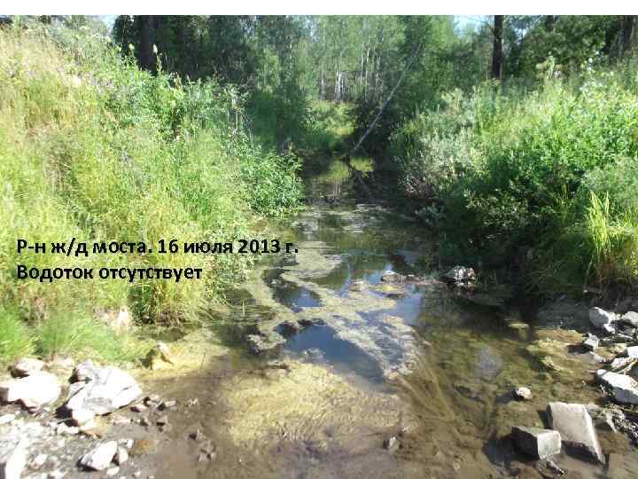 Р-н ж/д моста. 16 июля 2013 г. Водоток отсутствует 