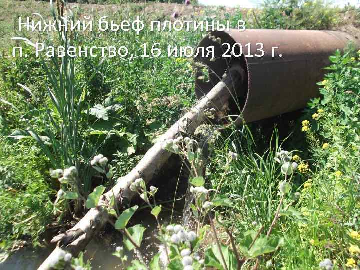 Нижний бьеф плотины в п. Равенство, 16 июля 2013 г. 