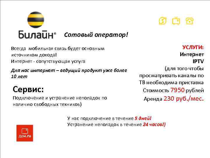Сотовый оператор! Всегда мобильная связь будет основным источником дохода! Интернет - сопутствующая услуга Для