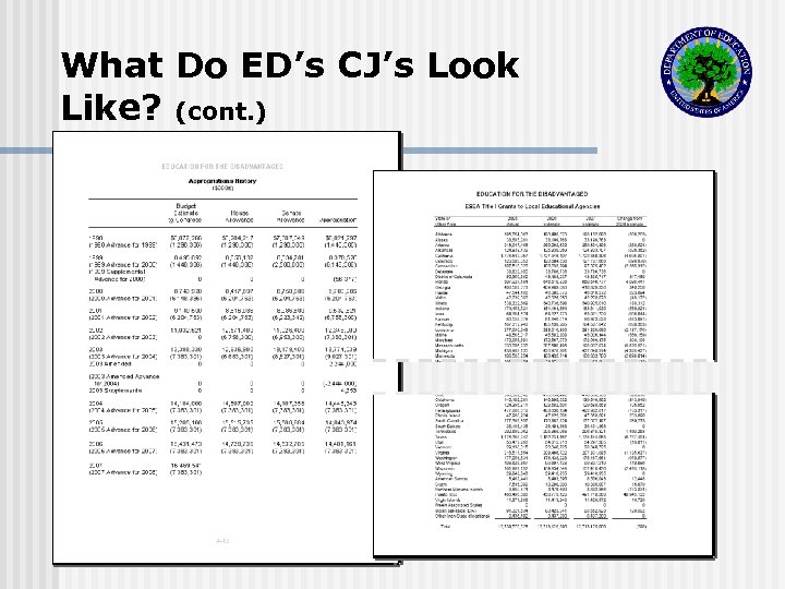 What Do ED’s CJ’s Look Like? (cont. ) 