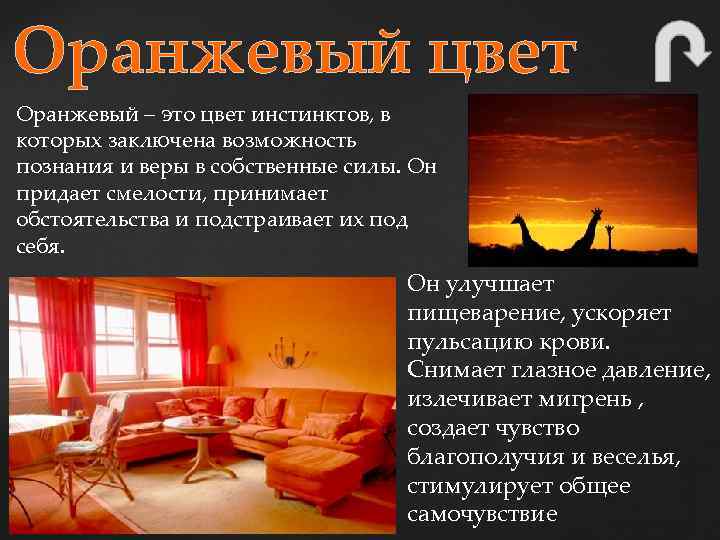 Оранжевый цвет Оранжевый – это цвет инстинктов, в которых заключена возможность познания и веры