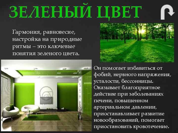 ЗЕЛЕНЫЙ ЦВЕТ Гармония, равновесие, настройка на природные ритмы – это ключевые понятия зеленого цвета.