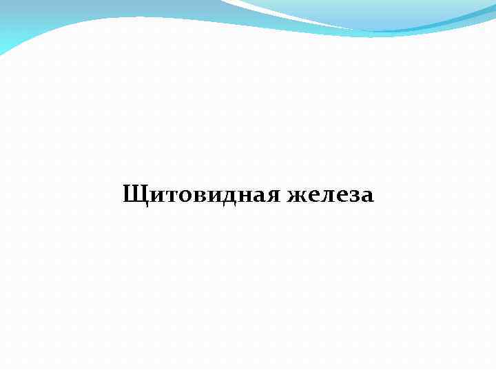 Щитовидная железа 