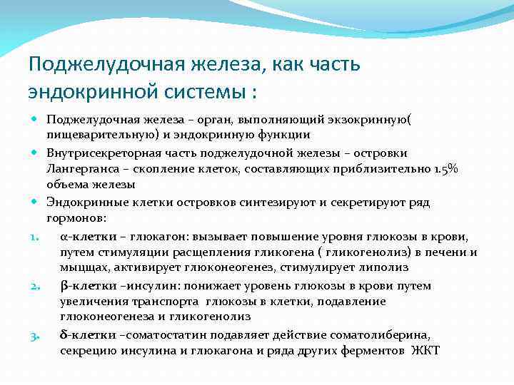 Поджелудочная железа, как часть эндокринной системы : Поджелудочная железа – орган, выполняющий экзокринную( пищеварительную)
