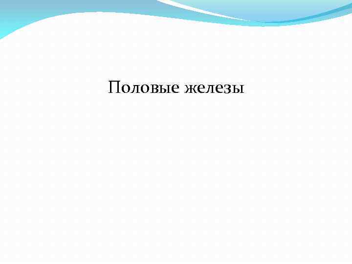 Половые железы 