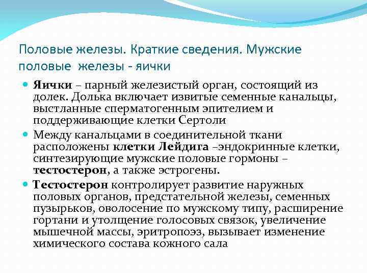 Половые железы. Краткие сведения. Мужские половые железы - яички Яички – парный железистый орган,