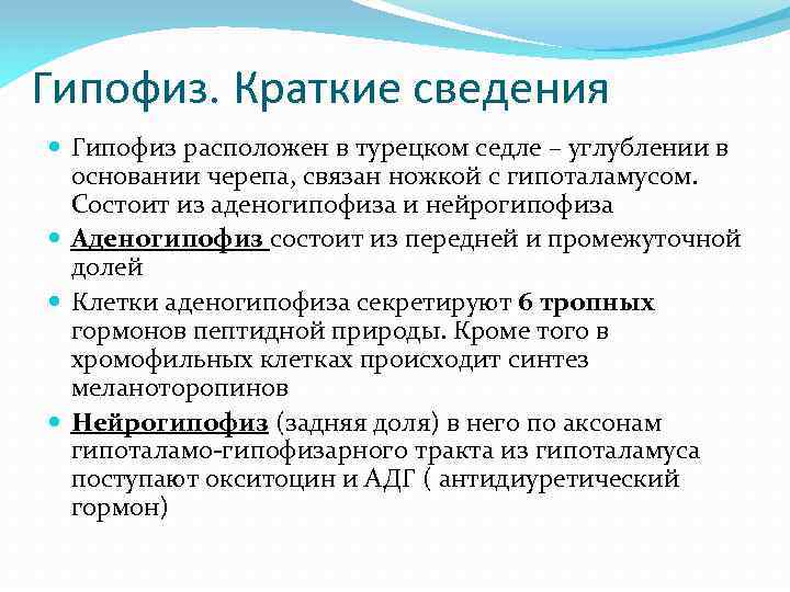 Гипофиз. Краткие сведения Гипофиз расположен в турецком седле – углублении в основании черепа, связан