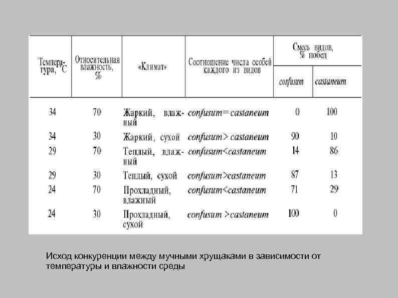 Исход конкуренции между мучными хрущаками в зависимости от температуры и влажности среды 