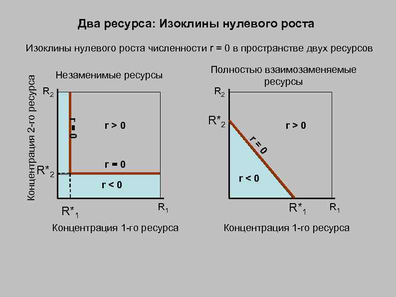 Два ресурса. Полностью взаимозаменяемые ресурсы. Изоклины нулевого прироста. Взаимозаменяемые природные ресурсы. Нуль изоклины.