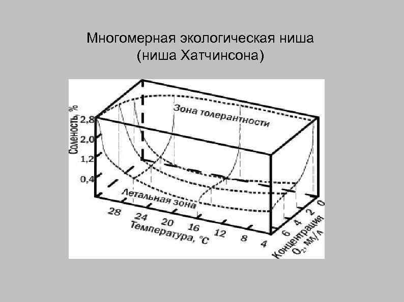 Экологическая ниша и межвидовые отношения 11 класс презентация