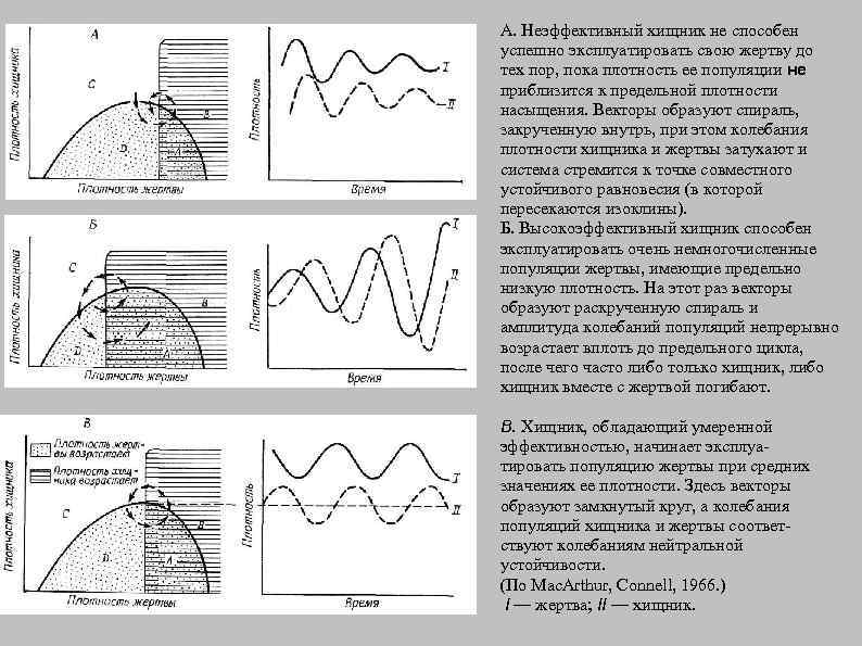 A. Неэффективный хищник не способен успешно эксплуатировать свою жертву до тех пор, пока плотность