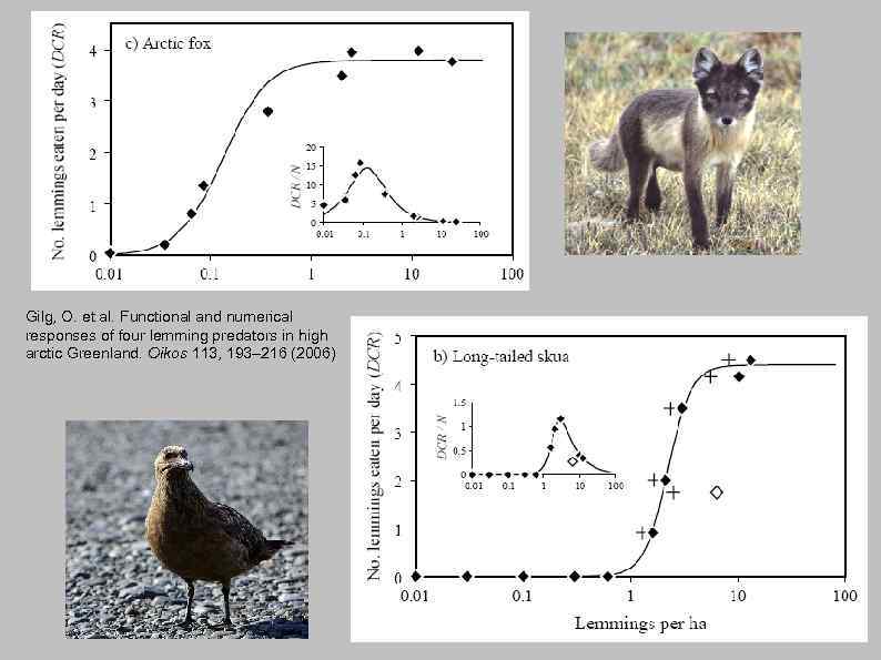Gilg, O. et al. Functional and numerical responses of four lemming predators in high