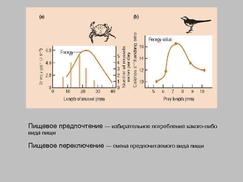 Пищевое предпочтение — избирательное потребление какого-либо вида пищи Пищевое переключение — смена предпочитаемого вида