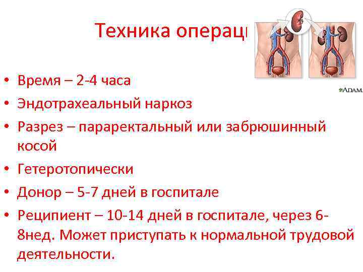 Техника операции • Время – 2 -4 часа • Эндотрахеальный наркоз • Разрез –
