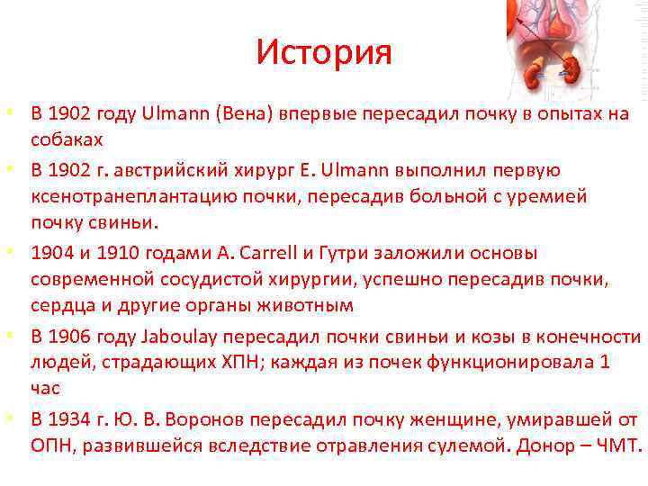 История • В 1902 году Ulmann (Вена) впервые пересадил почку в опытах на собаках