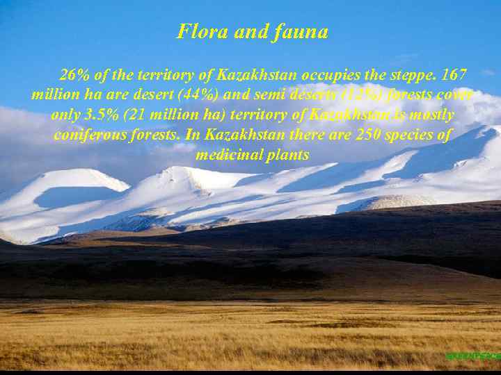 Flora and fauna 26% of the territory of Kazakhstan occupies the steppe. 167 million