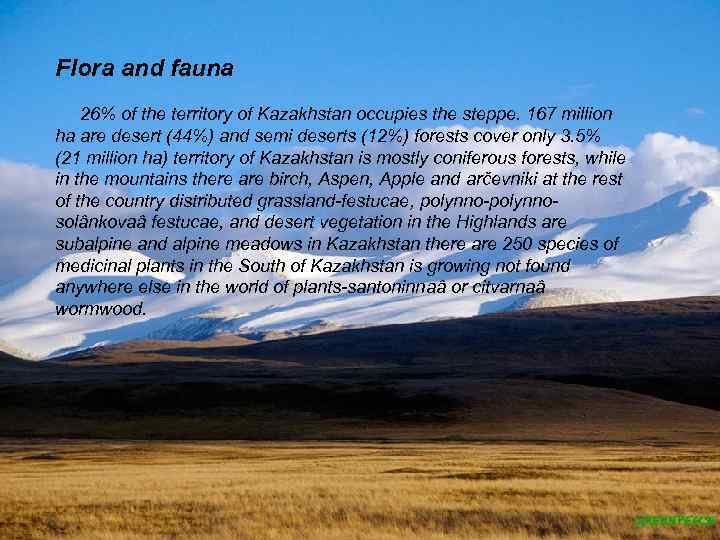 Flora and fauna 26% of the territory of Kazakhstan occupies the steppe. 167 million