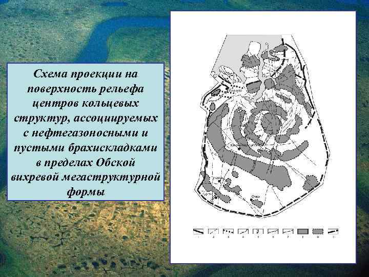Схема проекции на поверхность рельефа центров кольцевых структур, ассоциируемых с нефтегазоносными и пустыми брахискладками