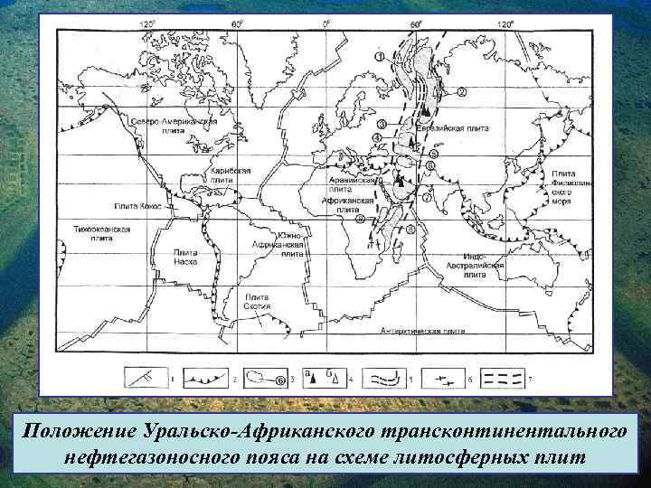 Положение Уральско-Африканского трансконтинентального нефтегазоносного пояса на схеме литосферных плит 