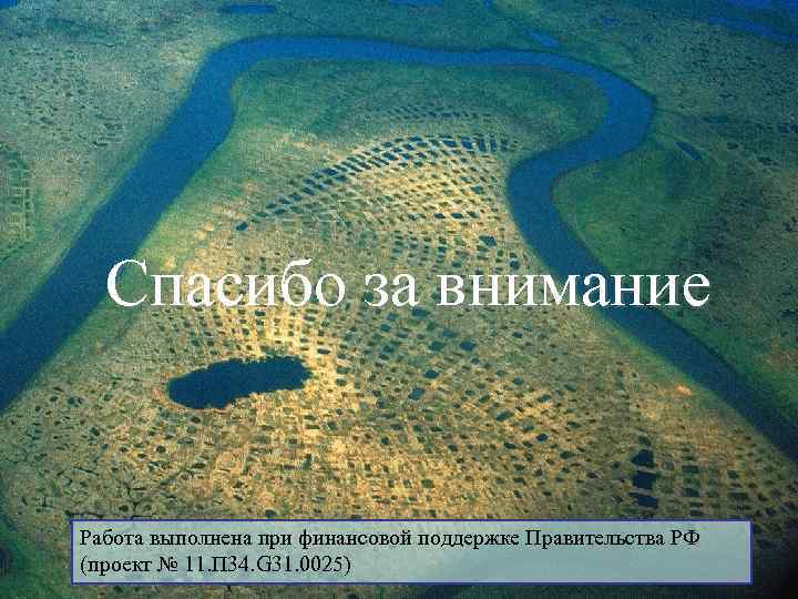 Спасибо за внимание Работа выполнена при финансовой поддержке Правительства РФ (проект № 11. П