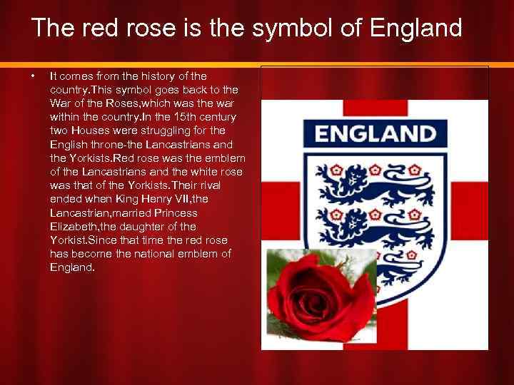 The red rose is the symbol of England • It comes from the history
