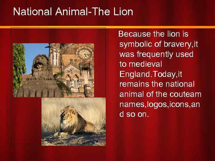 National Animal-The Lion Because the lion is symbolic of bravery, it was frequently used