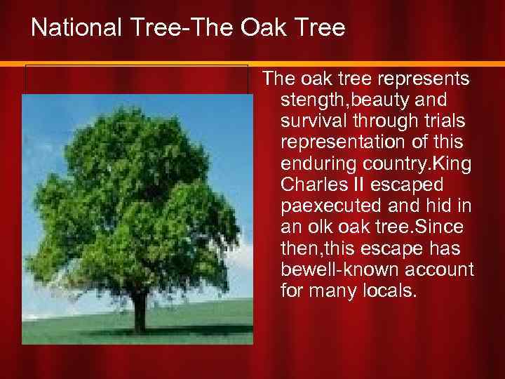 National Tree-The Oak Tree The oak tree represents stength, beauty and survival through trials