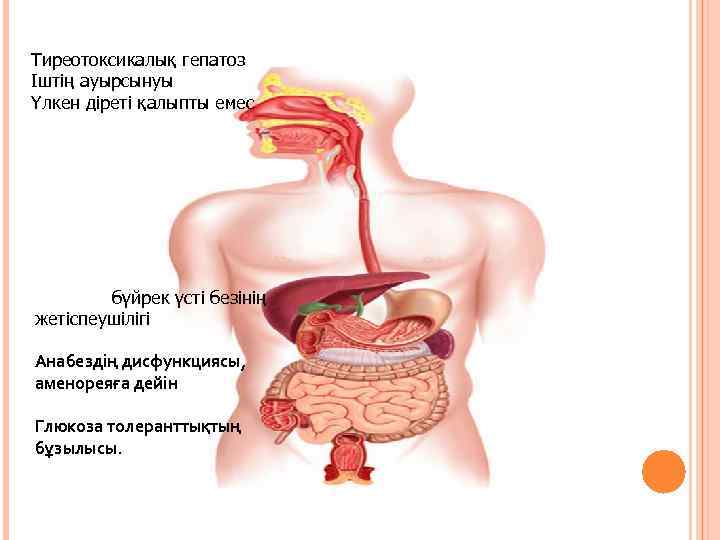 Тиреотоксикалық гепатоз Іштің ауырсынуы Үлкен діреті қалыпты емес бүйрек үсті безінің жетіспеушілігі Анабездің дисфункциясы,