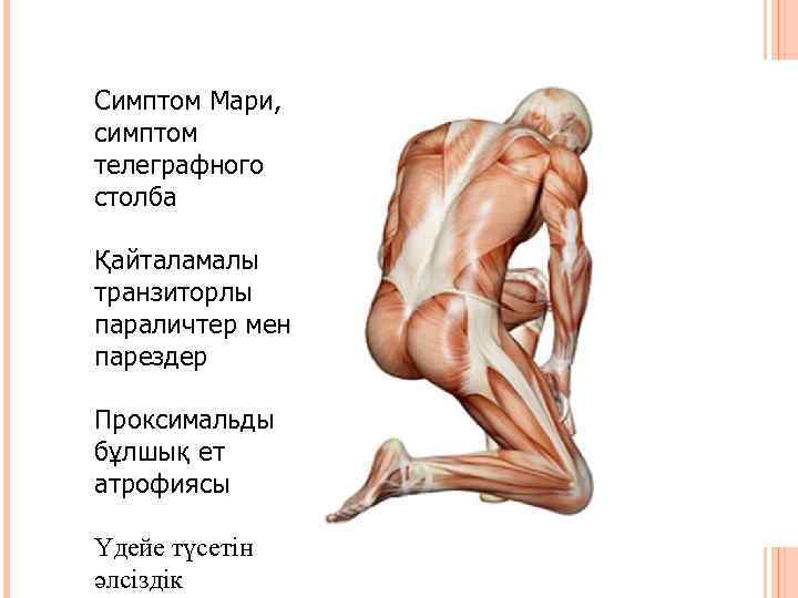 Симптом Мари, симптом телеграфного столба Қайталамалы транзиторлы параличтер мен парездер Проксимальды бұлшық ет атрофиясы