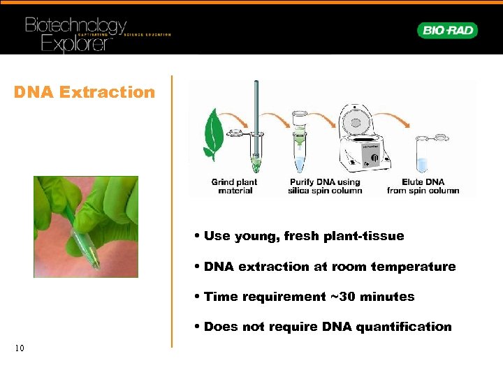 DNA Extraction • Use young, fresh plant-tissue • DNA extraction at room temperature •