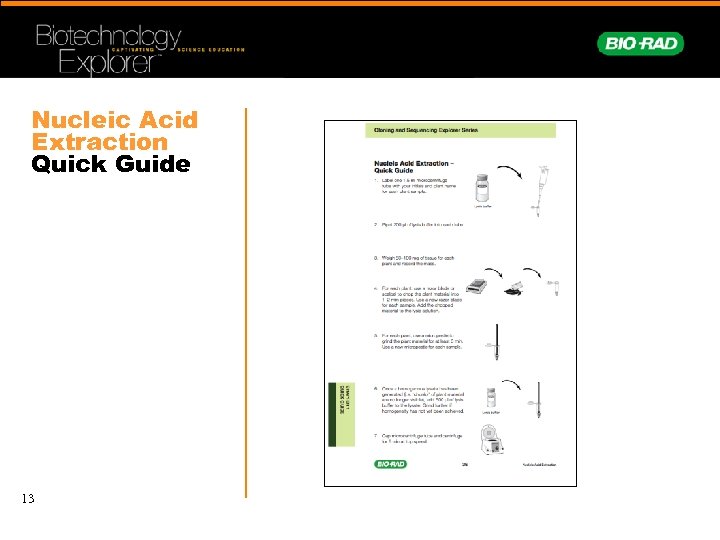 Nucleic Acid Extraction Quick Guide 13 