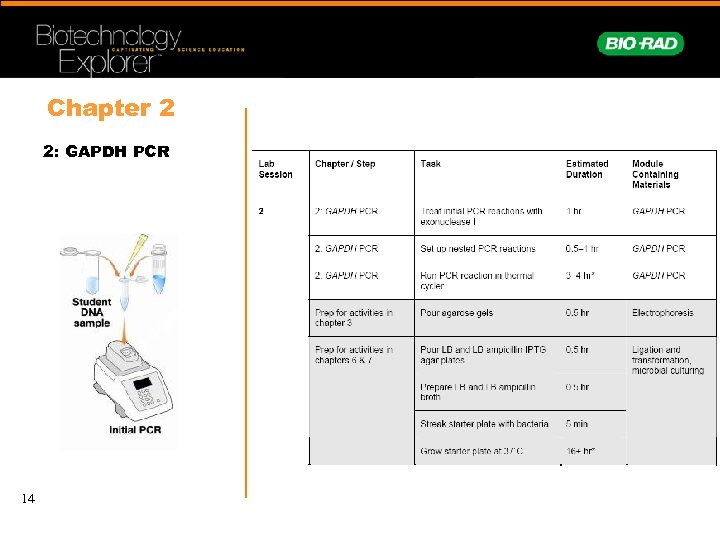 Chapter 2 2: GAPDH PCR 14 