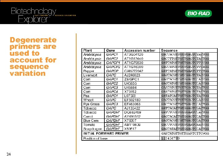 Degenerate primers are used to account for sequence variation 24 