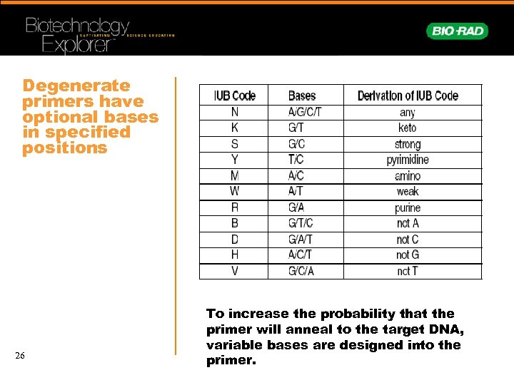 Degenerate primers have optional bases in specified positions 26 To increase the probability that