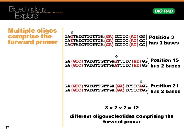 Multiple oligos comprise the forward primer GAGTATGTTGTTGA(GA)TCTTC(AT)GG Position 3 GATTATGTTGTTGA(GA)TCTTC(AT)GG GACTATGTTGTTGA(GA)TCTTC(AT)GG has 3 bases