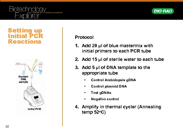 Setting up Initial PCR Reactions Protocol 1. Add 20 µl of blue mastermix with