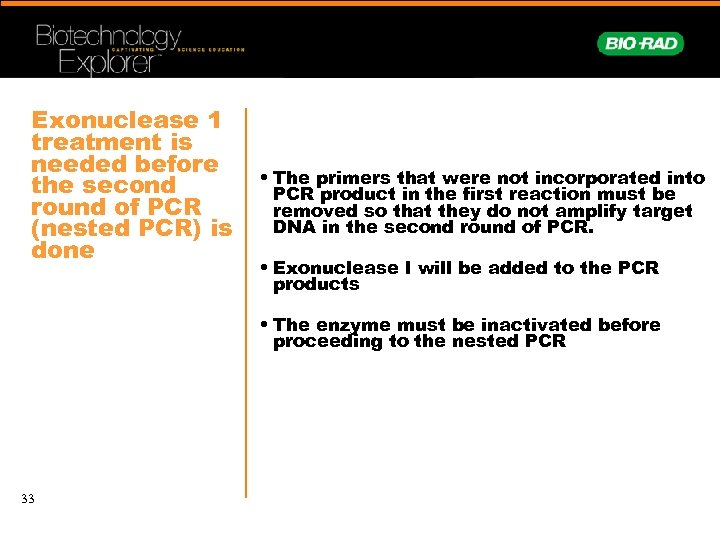 Exonuclease 1 treatment is needed before the second round of PCR (nested PCR) is