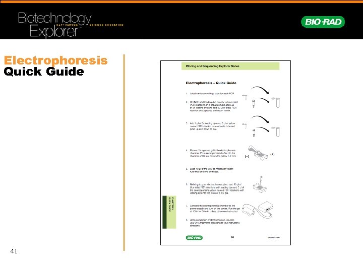 Electrophoresis Quick Guide 41 