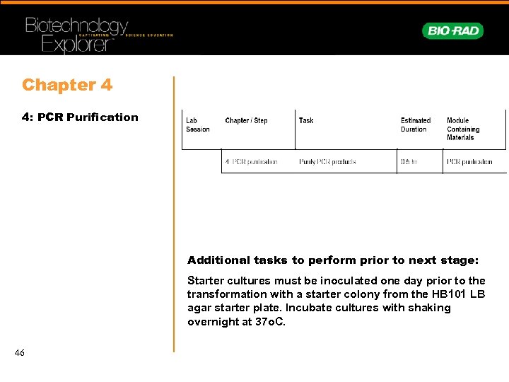 Chapter 4 4: PCR Purification Additional tasks to perform prior to next stage: Starter