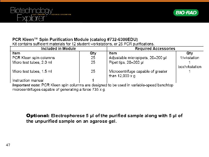 Optional: Electrophorese 5 µl of the purified sample along with 5 µl of the