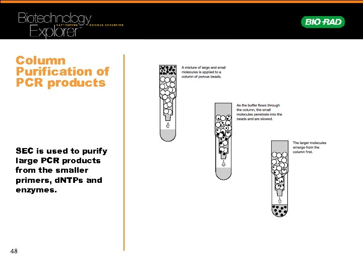 Column Purification of PCR products SEC is used to purify large PCR products from