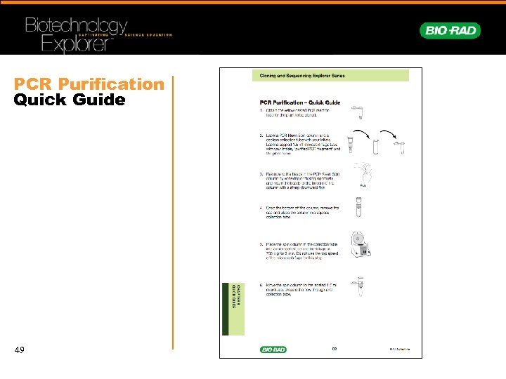 PCR Purification Quick Guide 49 