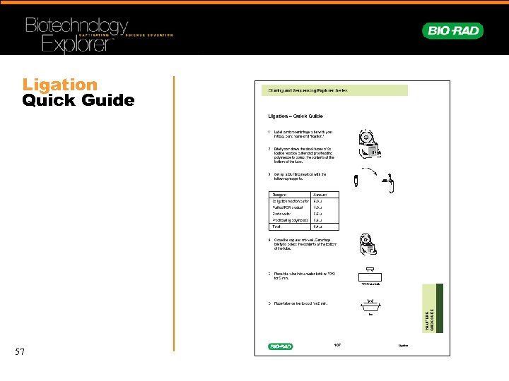 Ligation Quick Guide 57 