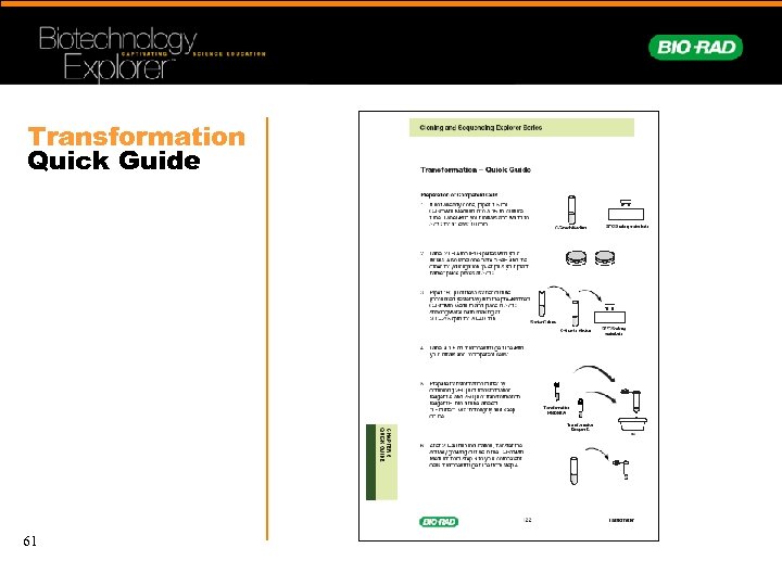 Transformation Quick Guide 61 