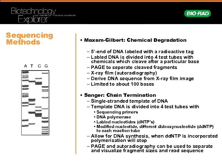 Sequencing Methods • Maxam-Gilbert: Chemical Degradation – 5’-end of DNA labeled with a radioactive