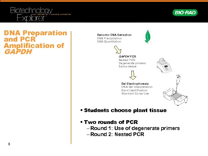 DNA Preparation and PCR Amplification of GAPDH Genomic DNA Extraction DNA Precipitation DNA Quantitation