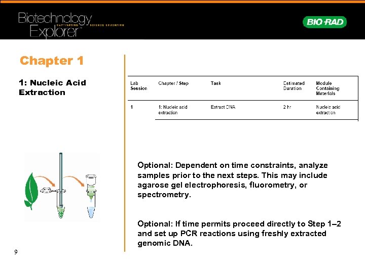 Chapter 1 1: Nucleic Acid Extraction Optional: Dependent on time constraints, analyze samples prior